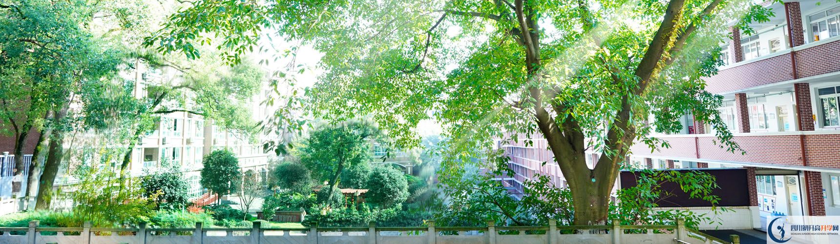 四川省瀘州市第一中學(xué)校校園風采