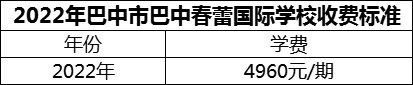 2024年巴中市巴中春蕾國際學校學費多少錢？