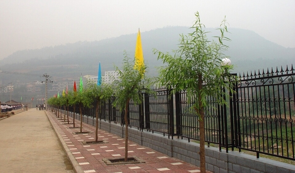 劍州中學校園風采