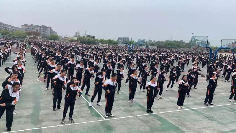 學(xué)習(xí)借鑒汲精髓 力促藝體上新階