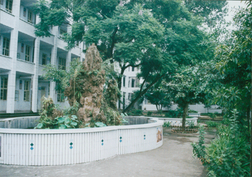 內(nèi)江十三中地址在哪？