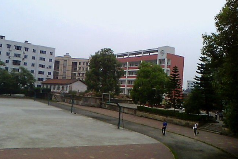 內(nèi)江十中辦學成果