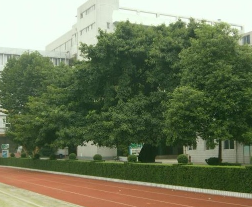 成都石室錦城外國語學校2018年收費標準
