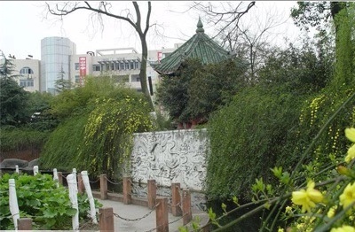 綿陽(yáng)南山中學(xué)2019年統(tǒng)招計(jì)劃