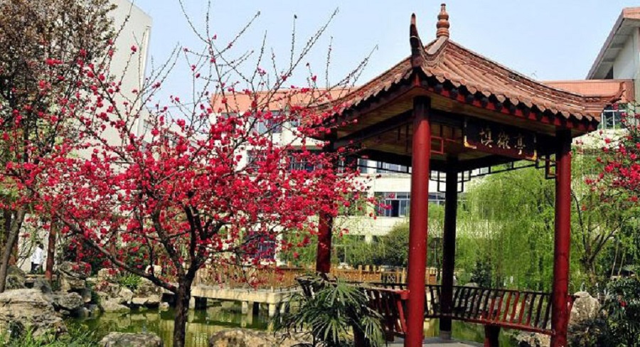 蜀城中學(xué)2020年中考錄取分?jǐn)?shù)線是多少？