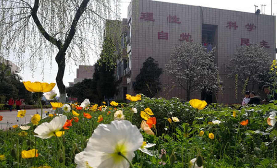 樂山市更生學校學費貴嗎？