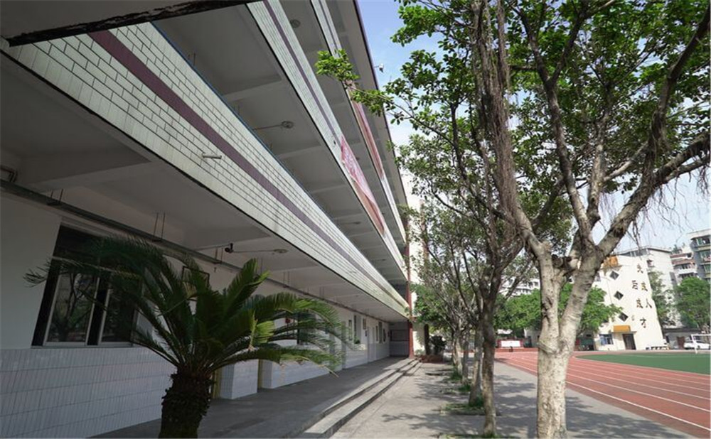 自貢市第六中學(xué)2020年的招生簡章