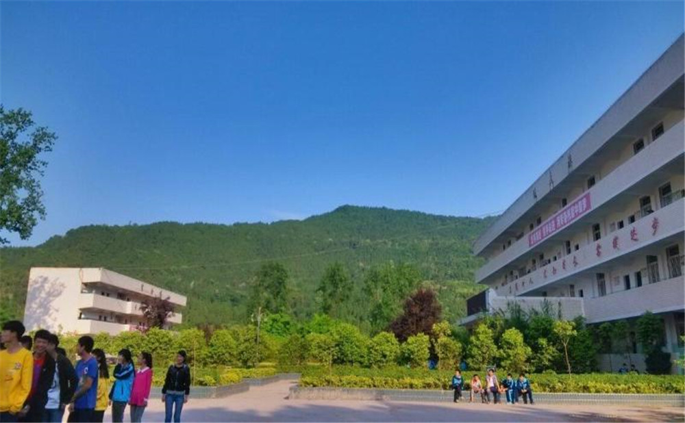 金山中學(xué)2020年學(xué)校招生計劃在哪兒看？