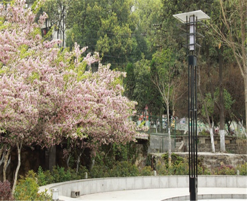 廣元實驗中學(xué)學(xué)校招辦電話是多少？