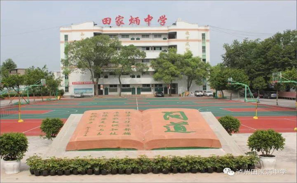 瀘洲市田家炳中學(xué)是公辦學(xué)校嗎？