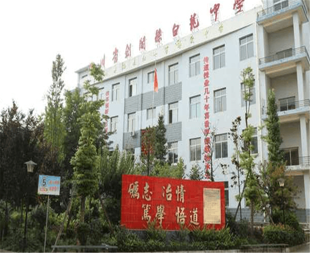 白龍中學(xué)2020年招生計劃公布了嗎？