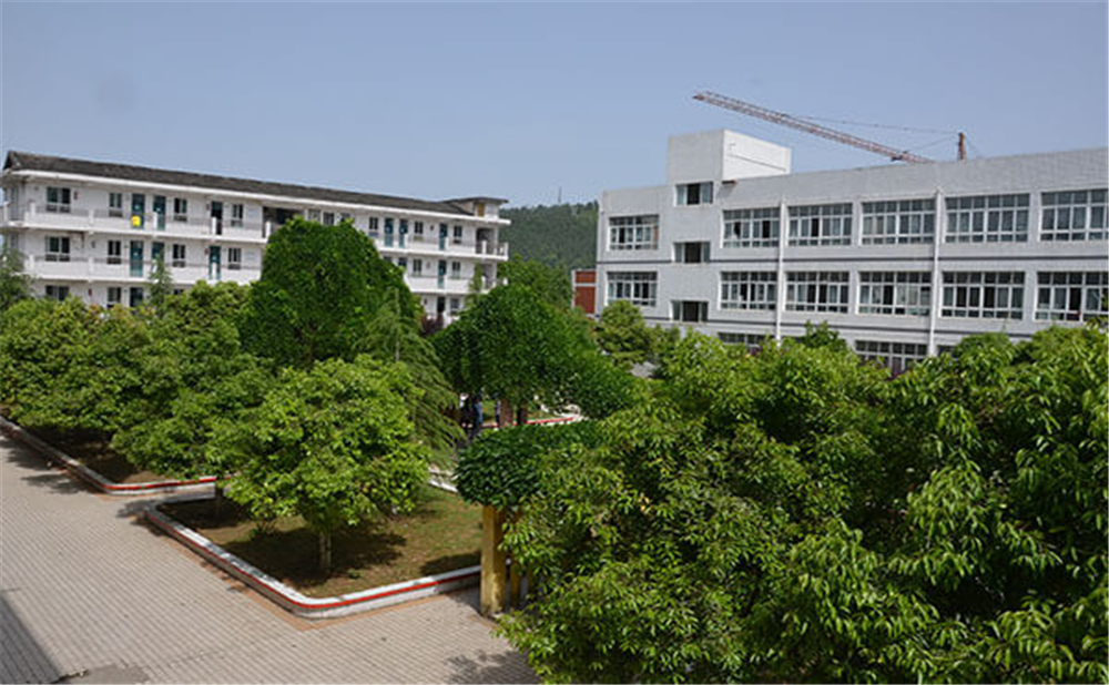 曾口中學(xué)2020年招生計劃公布了嗎？