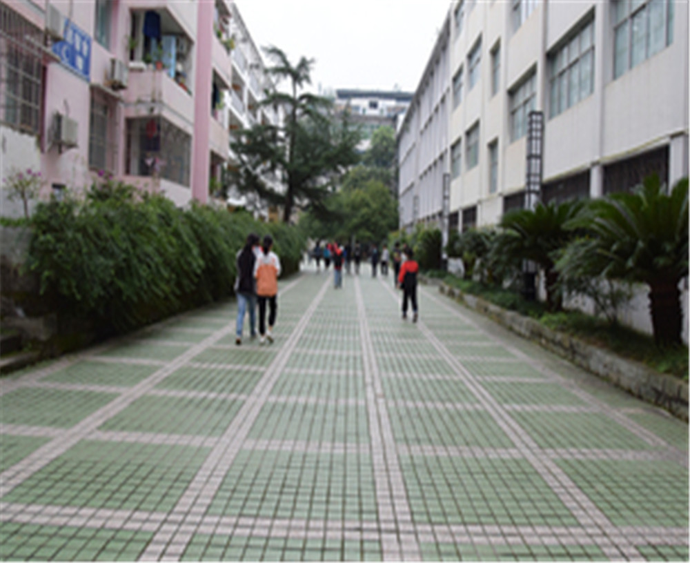歧坪中學(xué)2020年的錄取分數(shù)是多少？