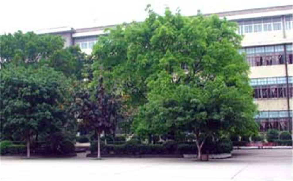 威遠(yuǎn)縣自強(qiáng)中學(xué)學(xué)校環(huán)境怎么樣？