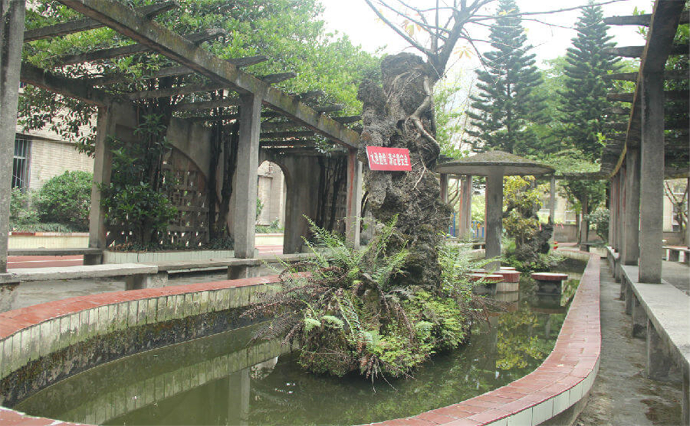 內(nèi)江鐵路中學(xué)學(xué)校環(huán)境怎么樣？