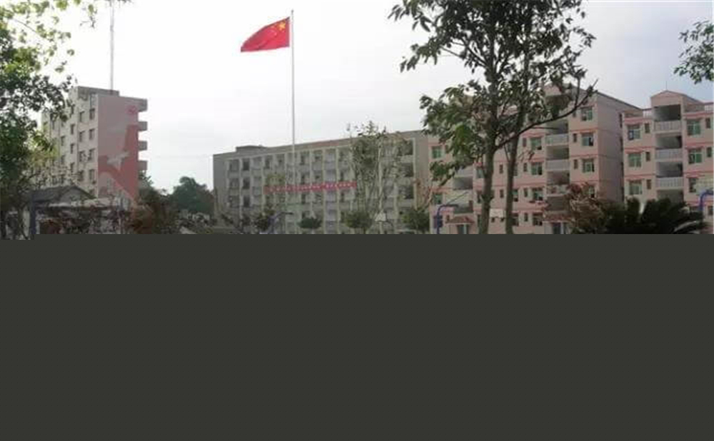 內(nèi)江市第十一中學學校環(huán)境怎么樣？