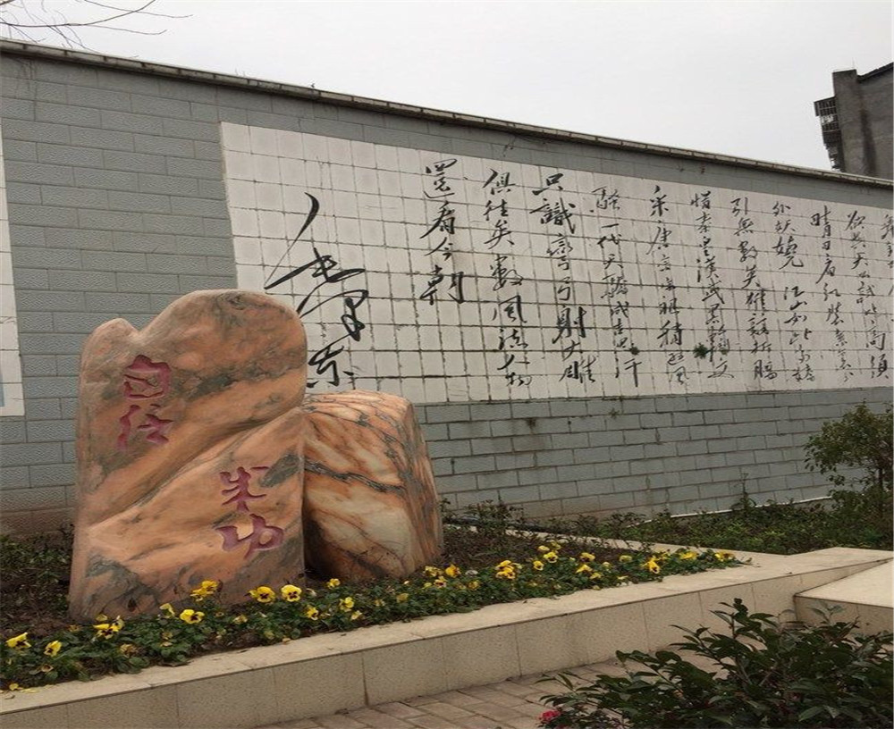 蒲家中學(xué)2020年招生計(jì)劃在哪兒看？