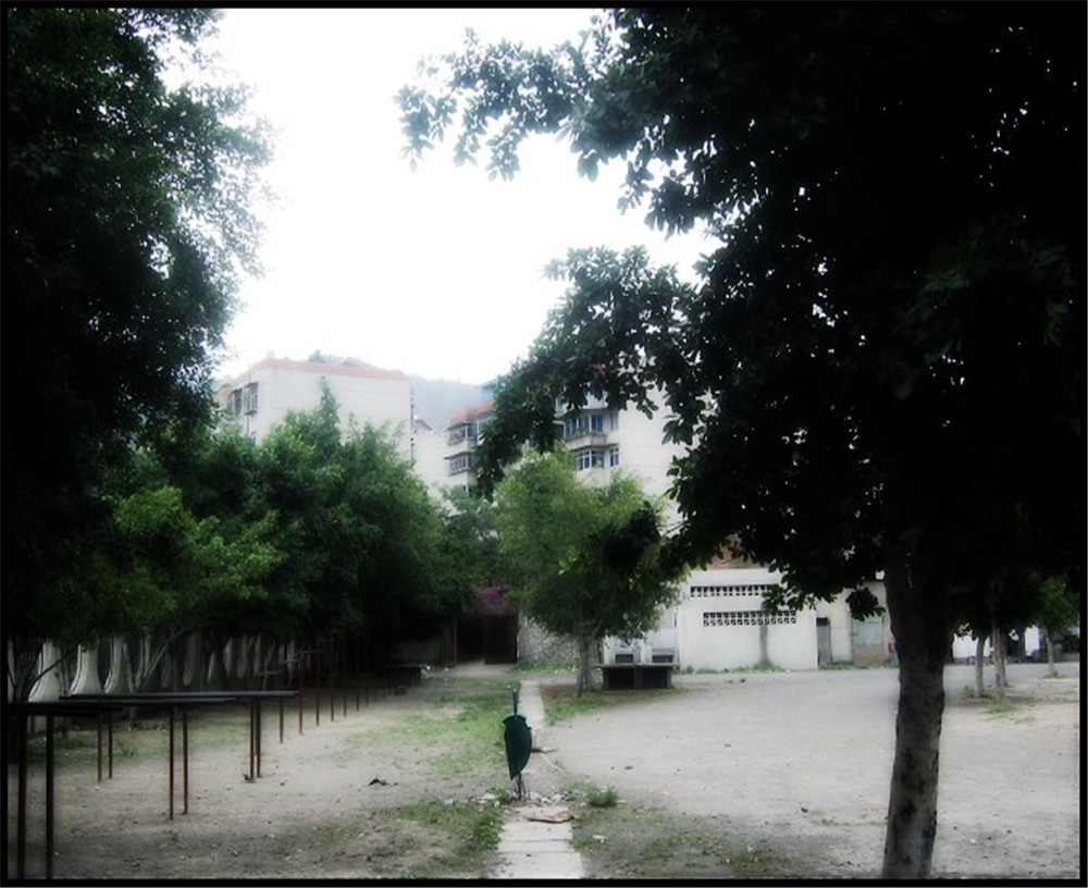 攀枝花市延邊縣中學(xué)校招辦電話是多少？