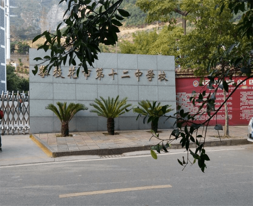 攀枝花市第十二中學(xué)校2020年招生簡(jiǎn)章在哪兒看？