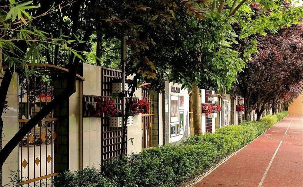 成都大學(xué)附屬中學(xué)2020年的錄取分?jǐn)?shù)是多少？