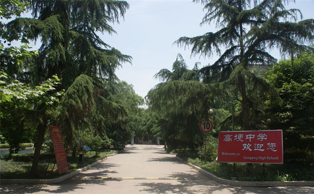 高埂中學(xué)的升學(xué)率怎么樣？