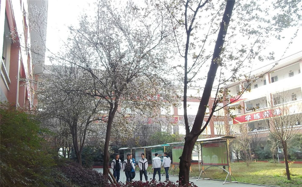 崇慶中學(xué)的去年錄取分?jǐn)?shù)線是多少分？