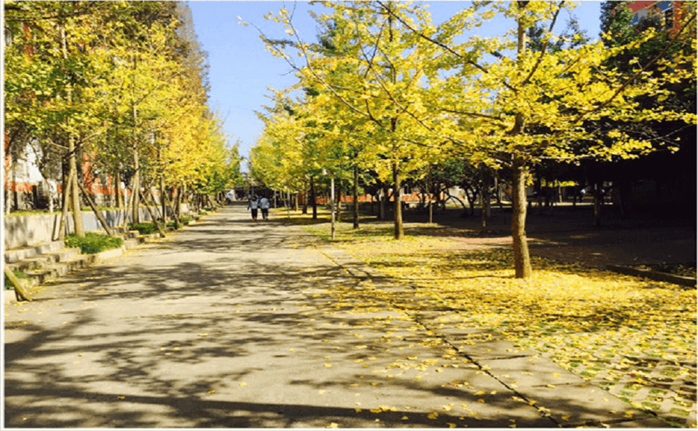 大邑中學(xué)2020年招生標(biāo)準(zhǔn)在哪兒看？