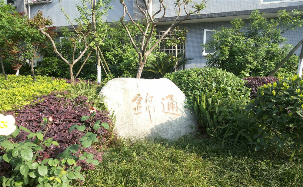 通錦中學(xué)2020年招生標(biāo)準(zhǔn)是什么？