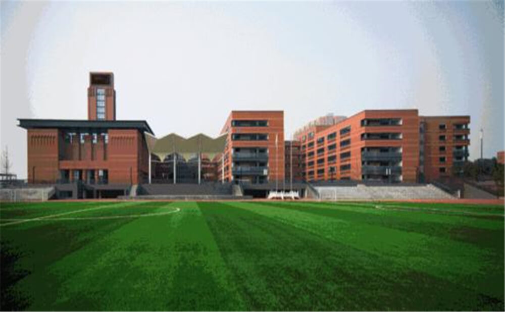 成都實外新都五龍山學校的學費是多少錢？