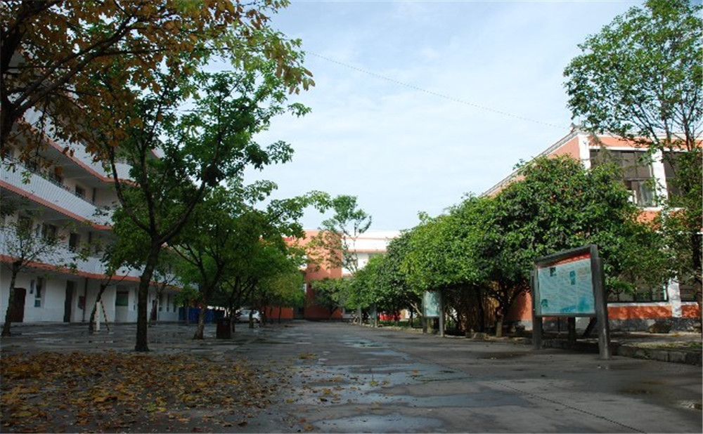 大邑中學(xué)近三年的錄取分數(shù)是多少？