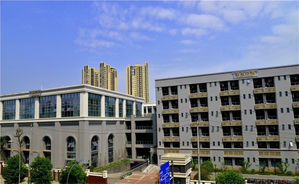 成都市第四十九中學(xué)的錄取分?jǐn)?shù)是多少？