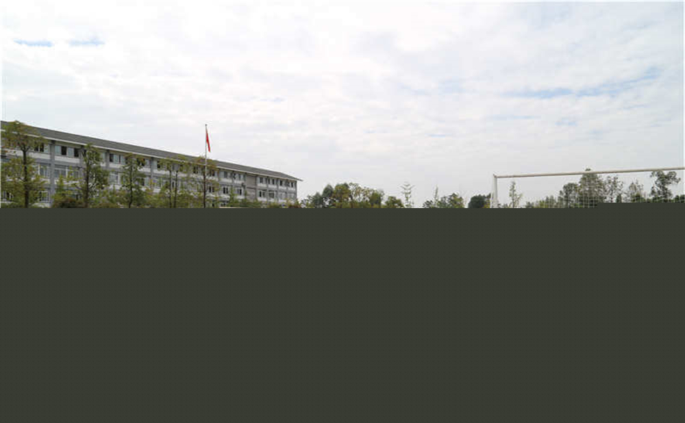平樂中學(xué)的升學(xué)率是多少？
