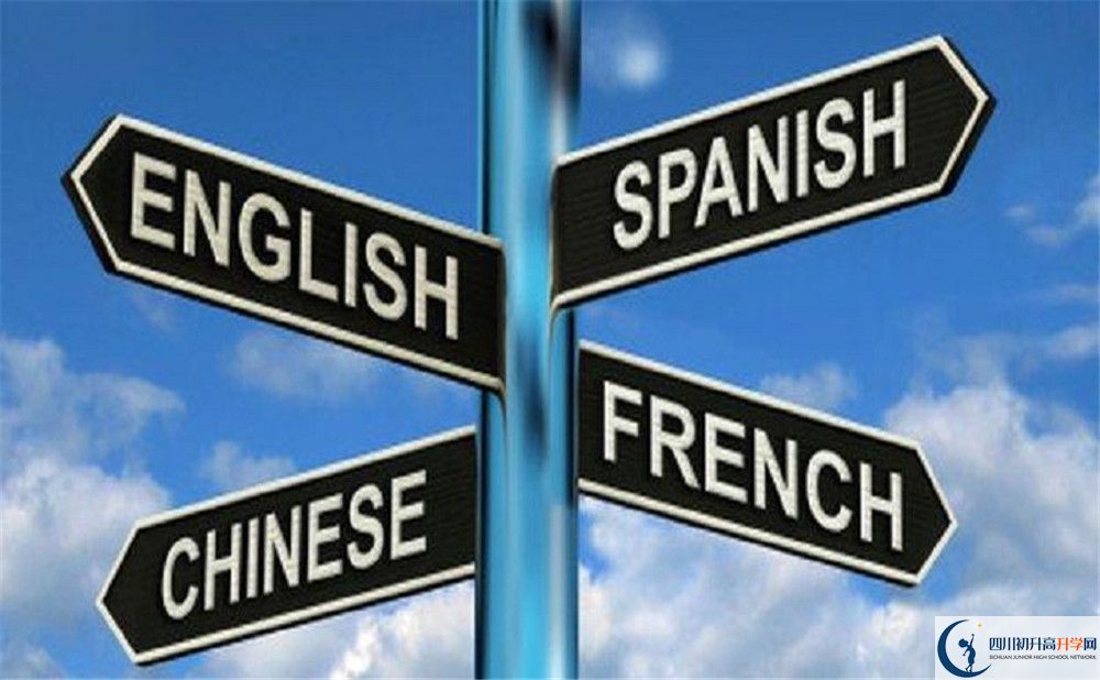 成都石室外國(guó)語(yǔ)學(xué)校的學(xué)費(fèi)收費(fèi)標(biāo)準(zhǔn)是多少？