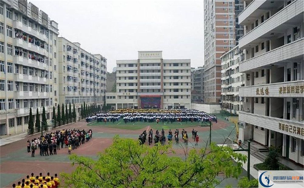 陽安中學(xué)的老師好不好？
