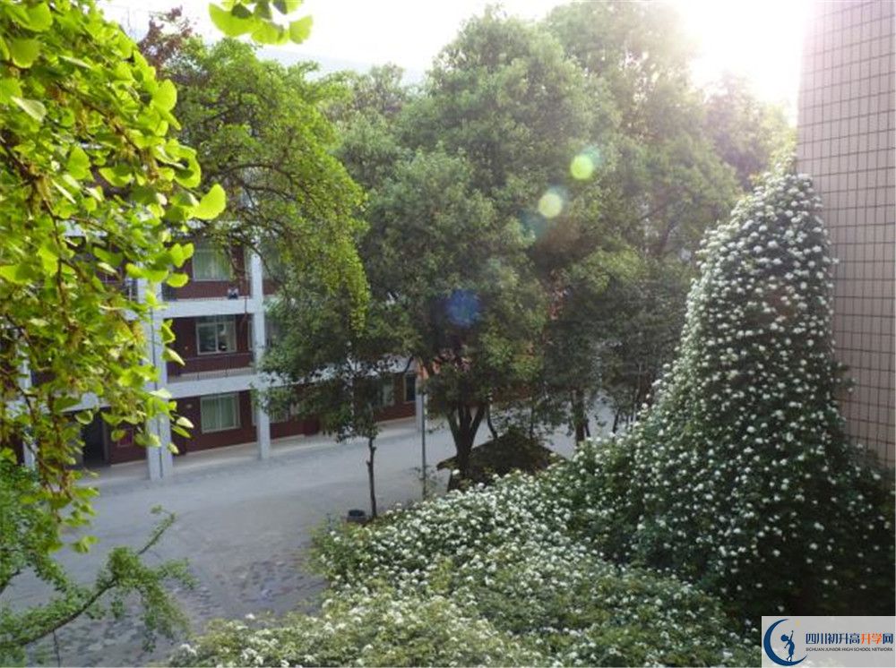 近幾年石室聯(lián)合中學(xué)蜀華分校高中錄取的分?jǐn)?shù)線？