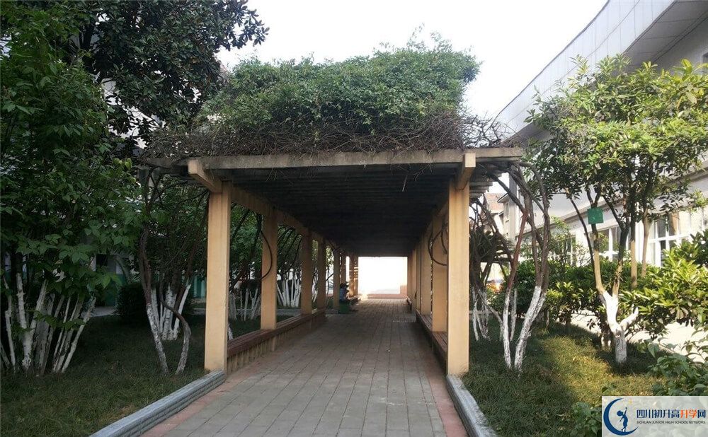 通錦中學(xué)高中歷年來的分?jǐn)?shù)線是多少分？
