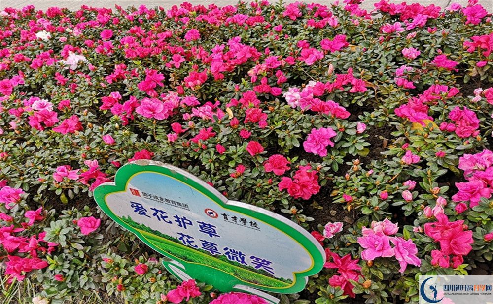 育才學(xué)校高中歷年來(lái)的分?jǐn)?shù)線(xiàn)是多少？