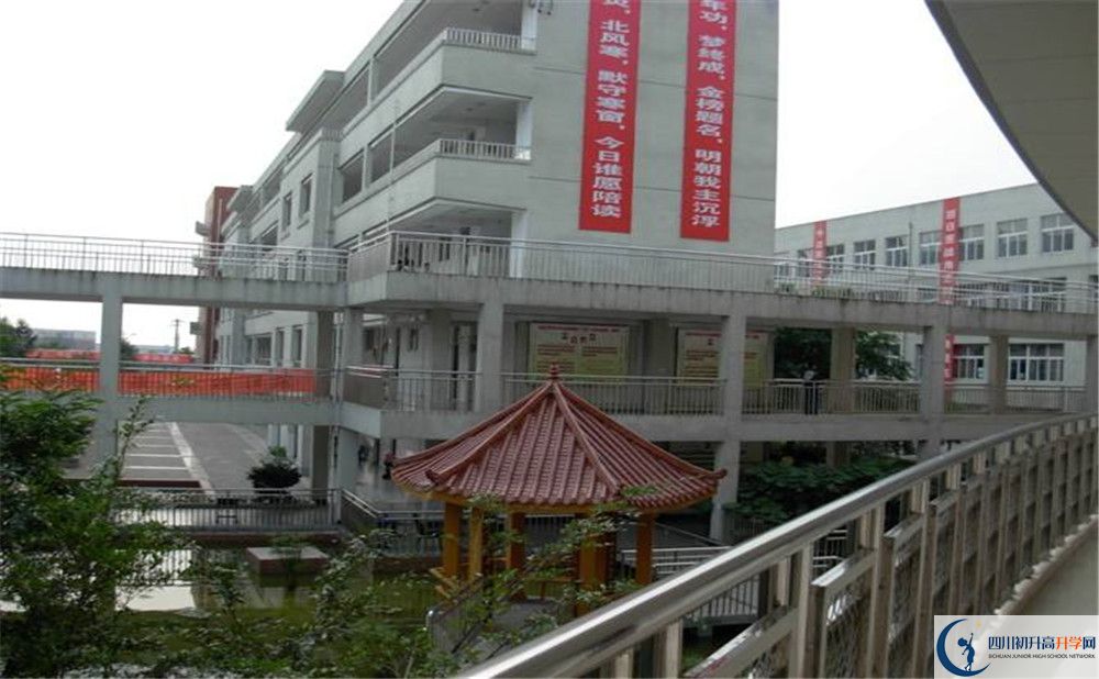成都市龍泉中學(xué)2020年清華北大人數(shù)是多少？					