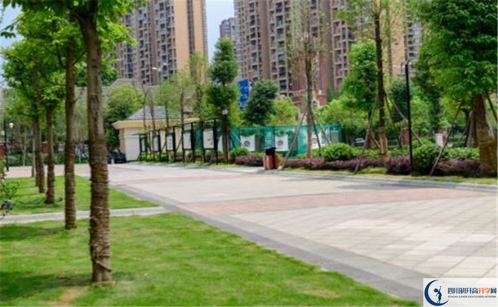 成都教科院附屬學校2020年清華北大錄取學生有多少？