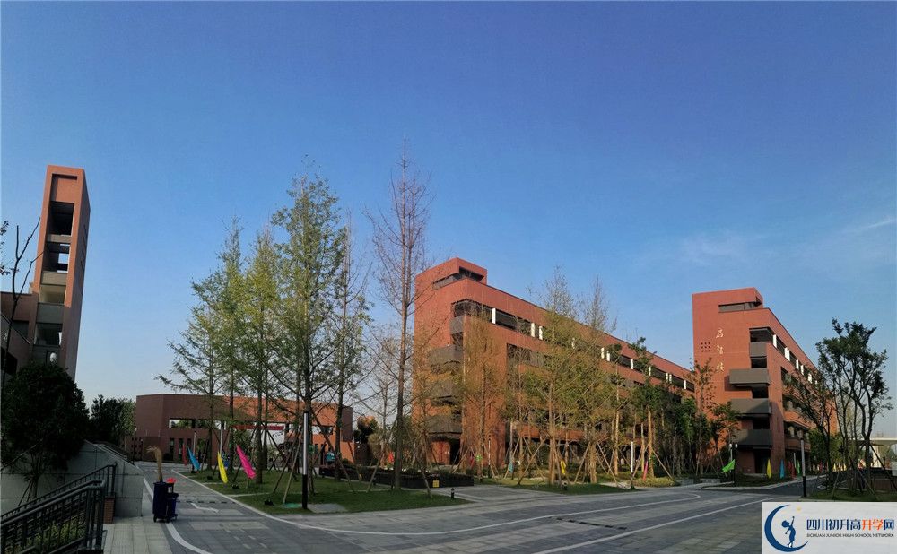 電子科技大學(xué)實(shí)驗(yàn)中學(xué)2020年清華北大錄取學(xué)生有多少？