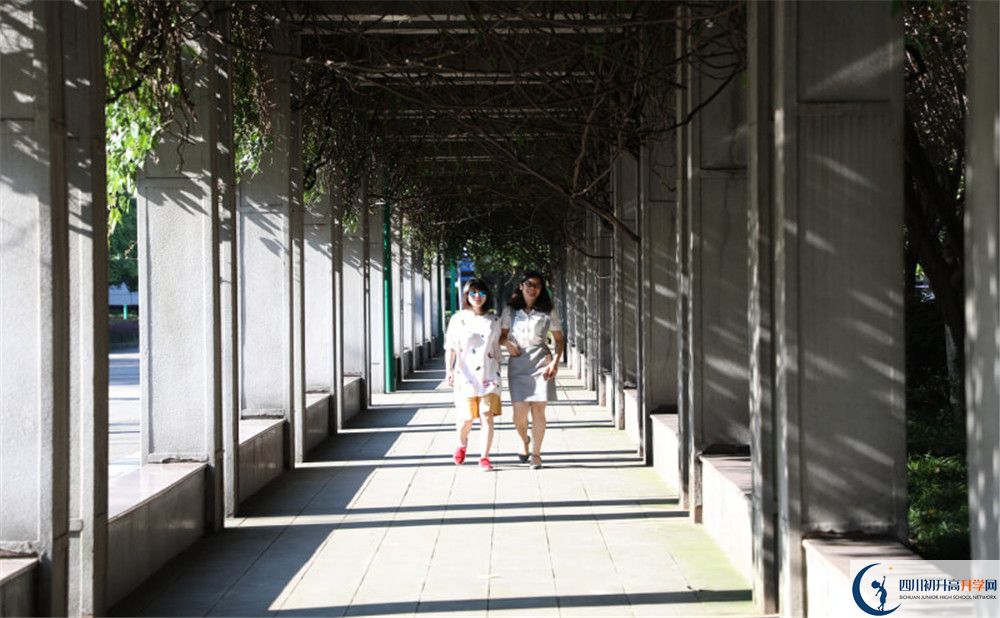 成都市龍泉中學(xué)2020年清華北大人數(shù)是多少？