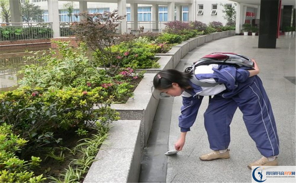 成都市龍泉中學(xué)初升高向外地招生嗎？