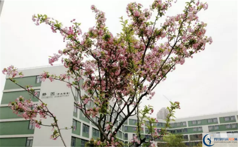 電子科技大學(xué)實(shí)驗(yàn)中學(xué)2020高一開(kāi)學(xué)時(shí)間是多久？