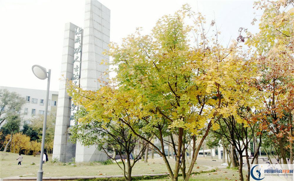 成都實(shí)驗(yàn)外國語學(xué)校（西區(qū)）2020年外地生學(xué)費(fèi)是多少？