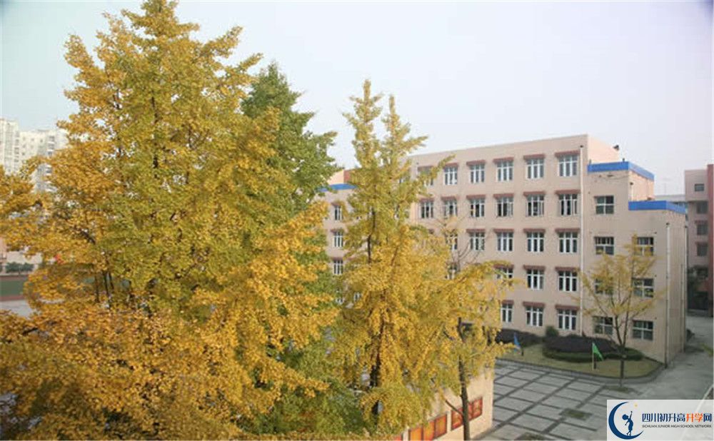 成都西藏中學是私立還是公立學校？