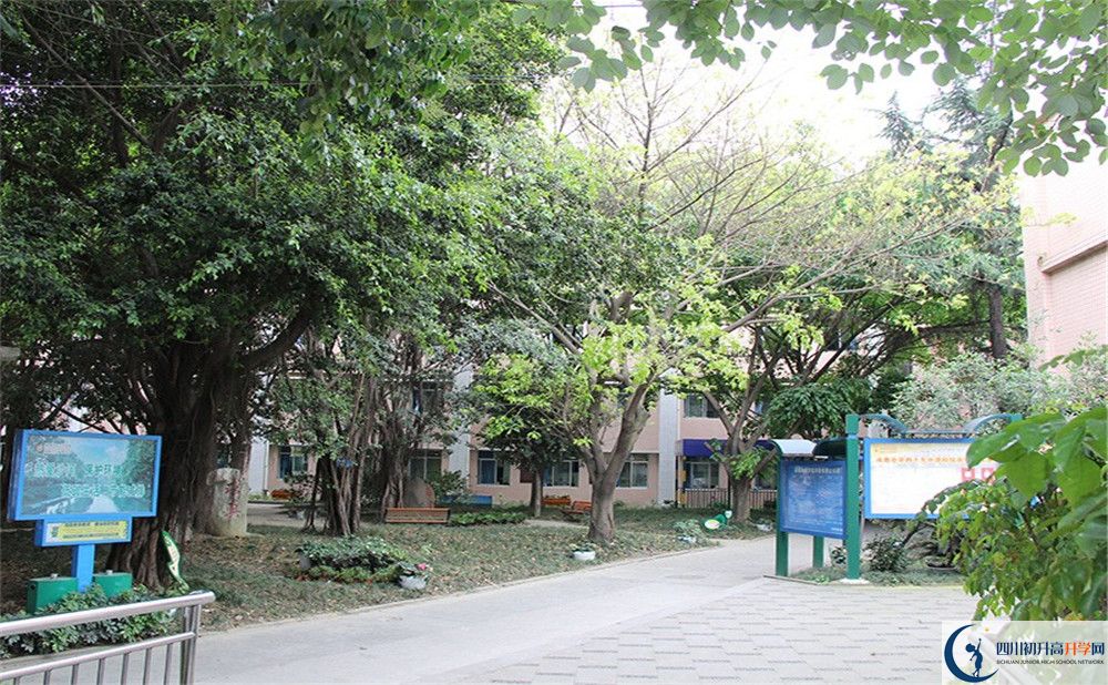 2020成都市第四十九中學實驗班高考成績如何？