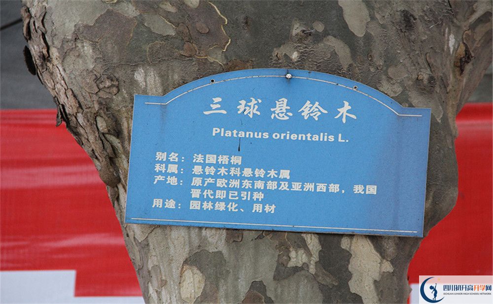 2020成都市第四十九中學(xué)高考重點(diǎn)大學(xué)升學(xué)率高嗎？