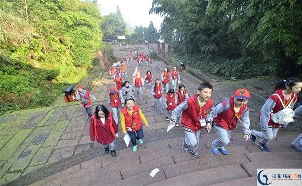 成都市泡桐樹中學(xué)和樹德中學(xué)誰好？