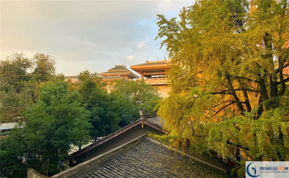 成都市泡桐樹中學平行班與實驗班差多少？