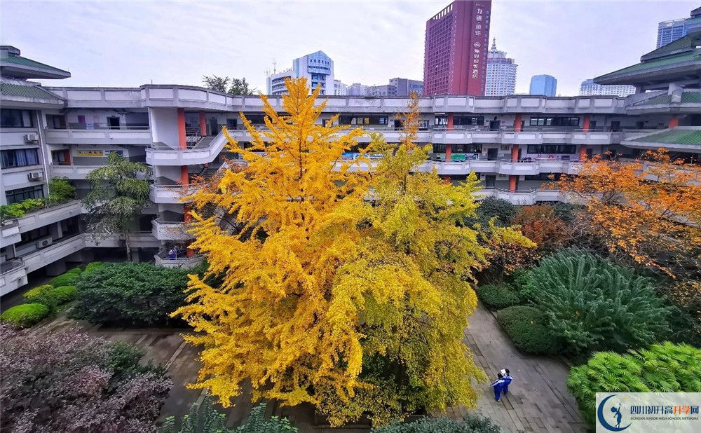 成都市泡桐樹中學(xué)2020年全國(guó)排名？